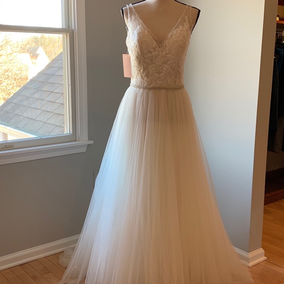 cassia bhldn